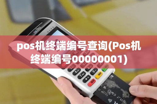 pos机终端编号查询(Pos机终端编号00000001)