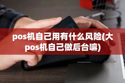 pos机自己用有什么风险(大pos机自己做后台嘛)