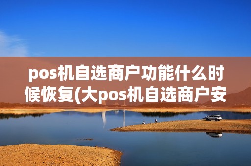 pos机自选商户功能什么时候恢复(大pos机自选商户安全)