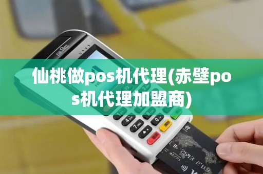 仙桃做pos机代理(赤壁pos机代理加盟商)