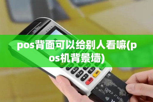 pos背面可以给别人看嘛(pos机背景墙)