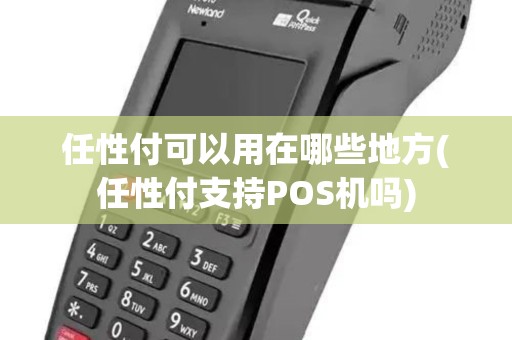 任性付可以用在哪些地方(任性付支持POS机吗)