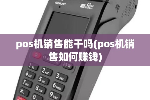 pos机销售能干吗(pos机销售如何赚钱)