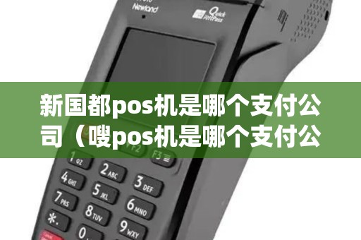 新国都pos机是哪个支付公司（嗖pos机是哪个支付公司）