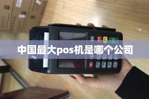 中国最大pos机是哪个公司