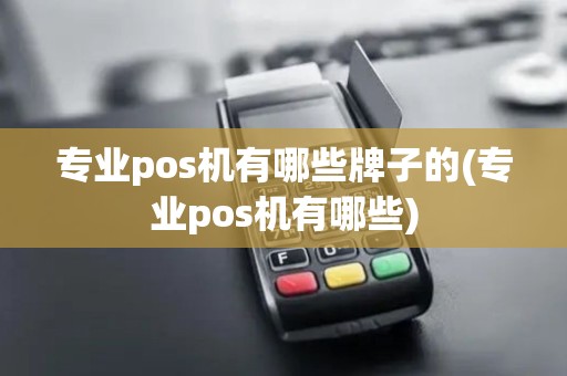 专业pos机有哪些牌子的(专业pos机有哪些)