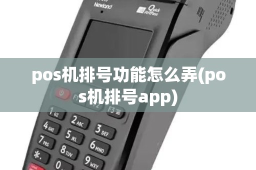 pos机排号功能怎么弄(pos机排号app)