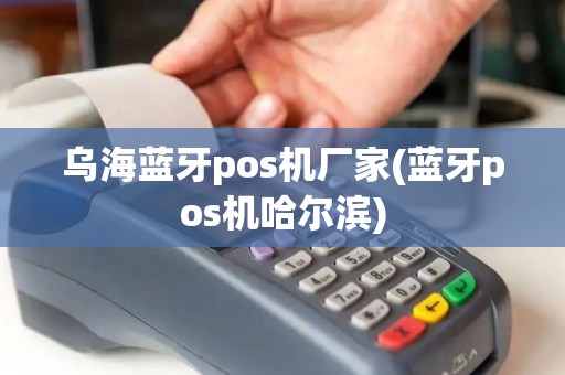 乌海蓝牙pos机厂家(蓝牙pos机哈尔滨)