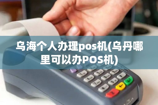 乌海个人办理pos机(乌丹哪里可以办POS机)