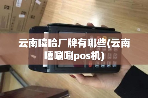 云南嘻哈厂牌有哪些(云南嘻唰唰pos机)