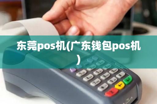 东莞pos机(广东钱包pos机)