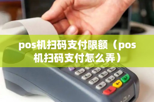 pos机扫码支付限额（pos机扫码支付怎么弄）