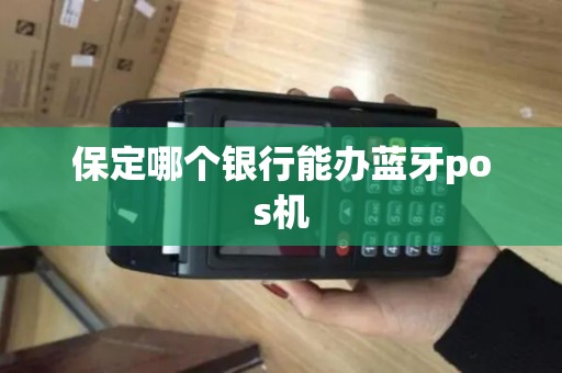 保定哪个银行能办蓝牙pos机