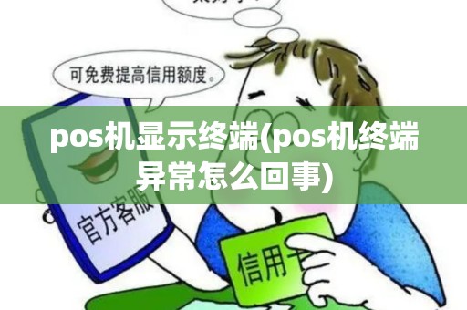 pos机显示终端(pos机终端异常怎么回事)