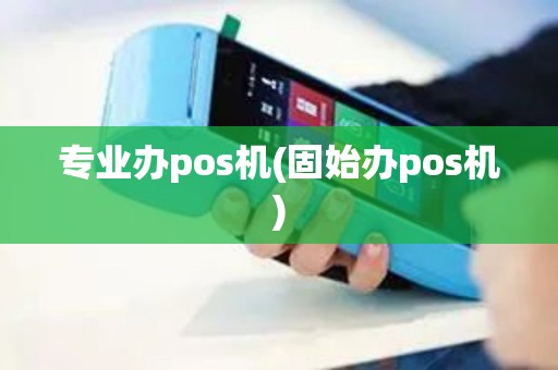 专业办pos机(固始办pos机)