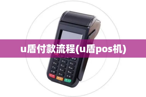 u盾付款流程(u盾pos机)