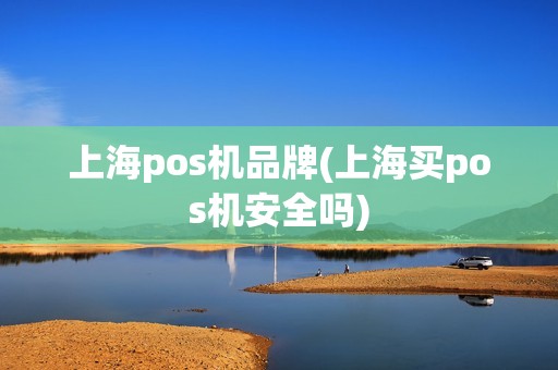 上海pos机品牌(上海买pos机安全吗)
