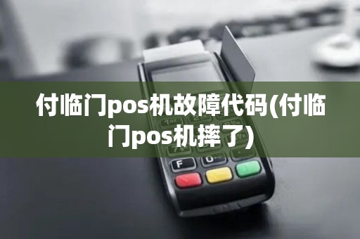 付临门pos机故障代码(付临门pos机摔了)