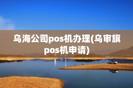 乌海公司pos机办理(乌审旗pos机申请)