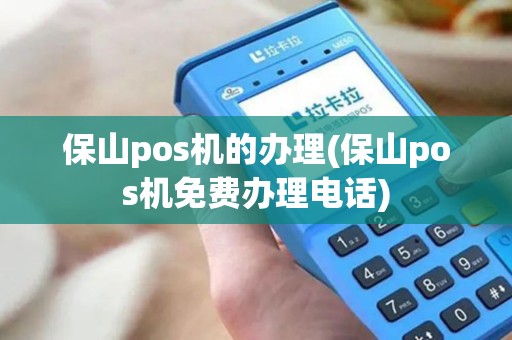 保山pos机的办理(保山pos机免费办理电话)
