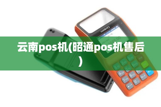 云南pos机(昭通pos机售后)