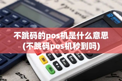 不跳码的pos机是什么意思(不跳码pos机秒到吗)