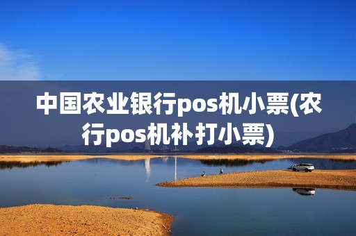中国农业银行pos机小票(农行pos机补打小票)