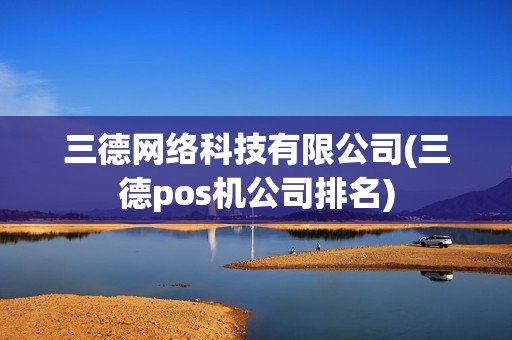 三德网络科技有限公司(三德pos机公司排名)