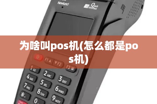 为啥叫pos机(怎么都是pos机)