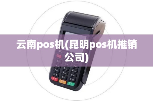 云南pos机(昆明pos机推销公司)
