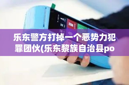 乐东警方打掉一个恶势力犯罪团伙(乐东黎族自治县pos机)