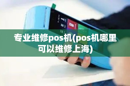 专业维修pos机(pos机哪里可以维修上海)