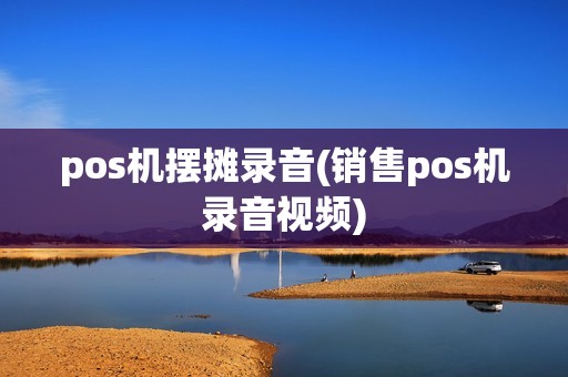 pos机摆摊录音(销售pos机录音视频)