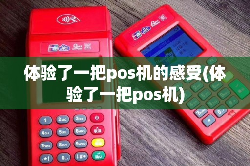体验了一把pos机的感受(体验了一把pos机)