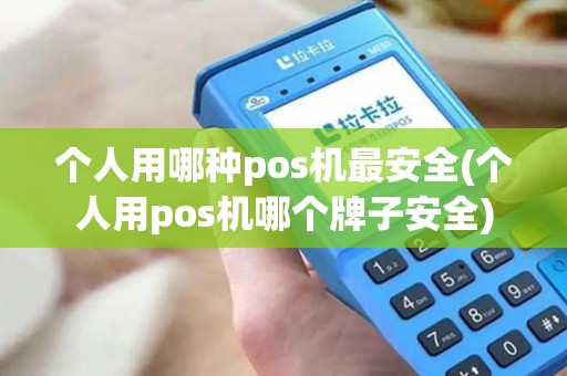 个人用哪种pos机最安全(个人用pos机哪个牌子安全)