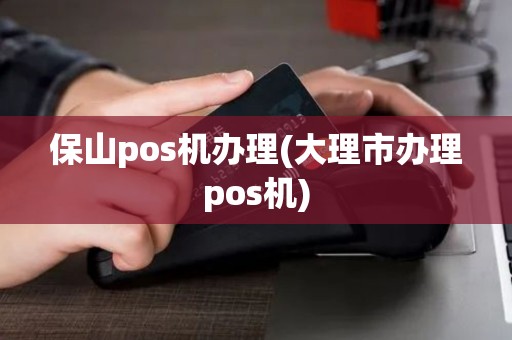保山pos机办理(大理市办理pos机) 保山pos机办理(大理市办理pos机)