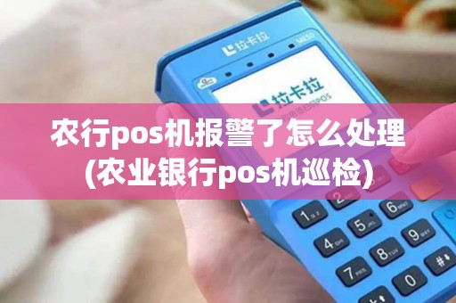农行pos机报警了怎么处理(农业银行pos机巡检)