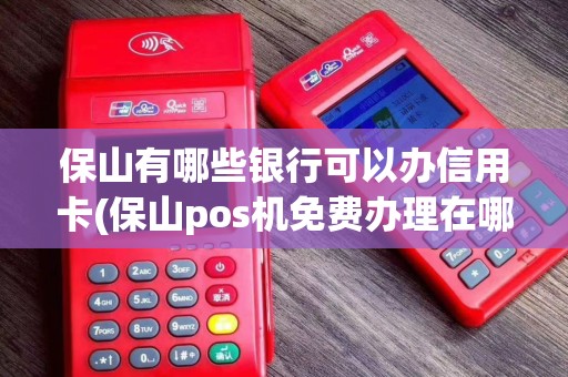 保山有哪些银行可以办信用卡(保山pos机免费办理在哪里) 保山有哪些银行可以办信用卡(保山pos机免费办理在哪里)