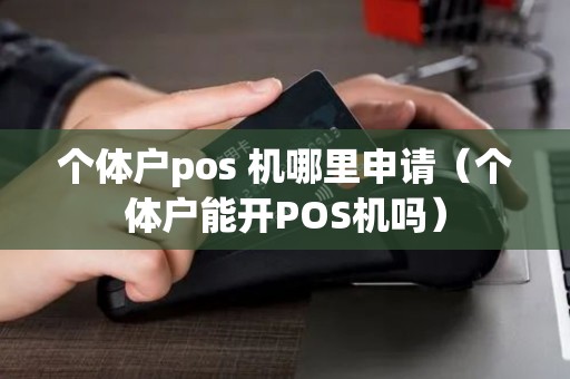 个体户pos 机哪里申请（个体户能开POS机吗）