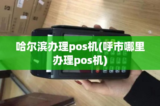 哈尔滨办理pos机(呼市哪里办理pos机) 哈尔滨办理pos机(呼市哪里办理pos机)