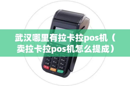 武汉哪里有拉卡拉pos机（卖拉卡拉pos机怎么提成）