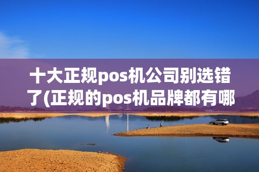 十大正规pos机公司别选错了(正规的pos机品牌都有哪些)