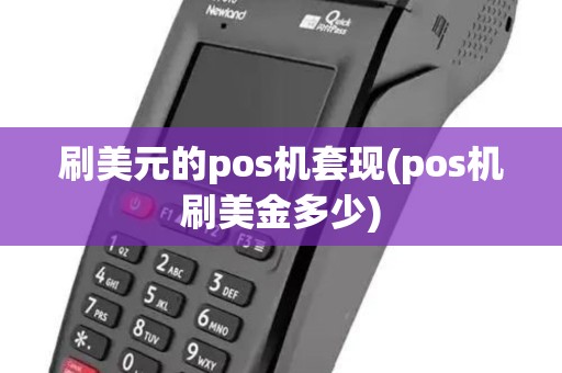刷美元的pos机套现(pos机刷美金多少)