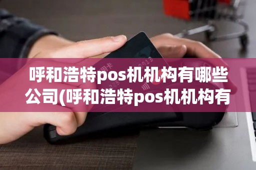 呼和浩特pos机机构有哪些公司(呼和浩特pos机机构有哪些)