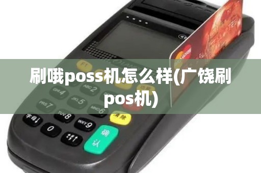 刷哦poss机怎么样(广饶刷pos机)