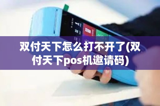 双付天下怎么打不开了(双付天下pos机邀请码)