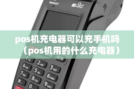 pos机充电器可以充手机吗（pos机用的什么充电器）