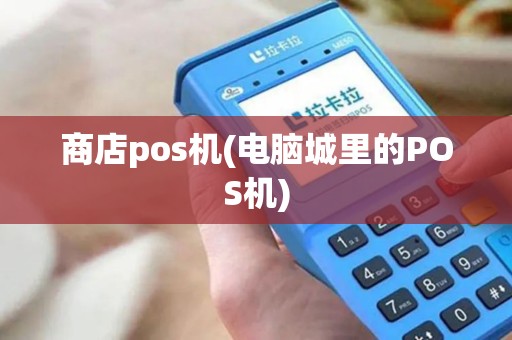商店pos机(电脑城里的POS机)