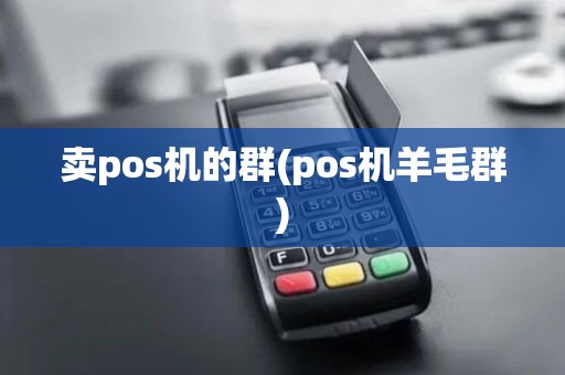 卖pos机的群(pos机羊毛群) 卖pos机的群(pos机羊毛群)