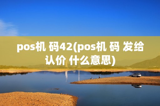pos机 码42(pos机 码 发给认价 什么意思)
